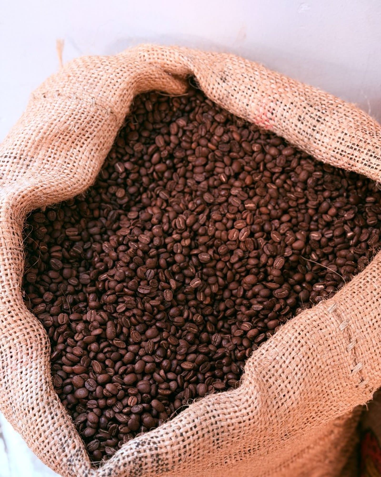 Sweet Brew coffee beans prepared for Nest Cafe