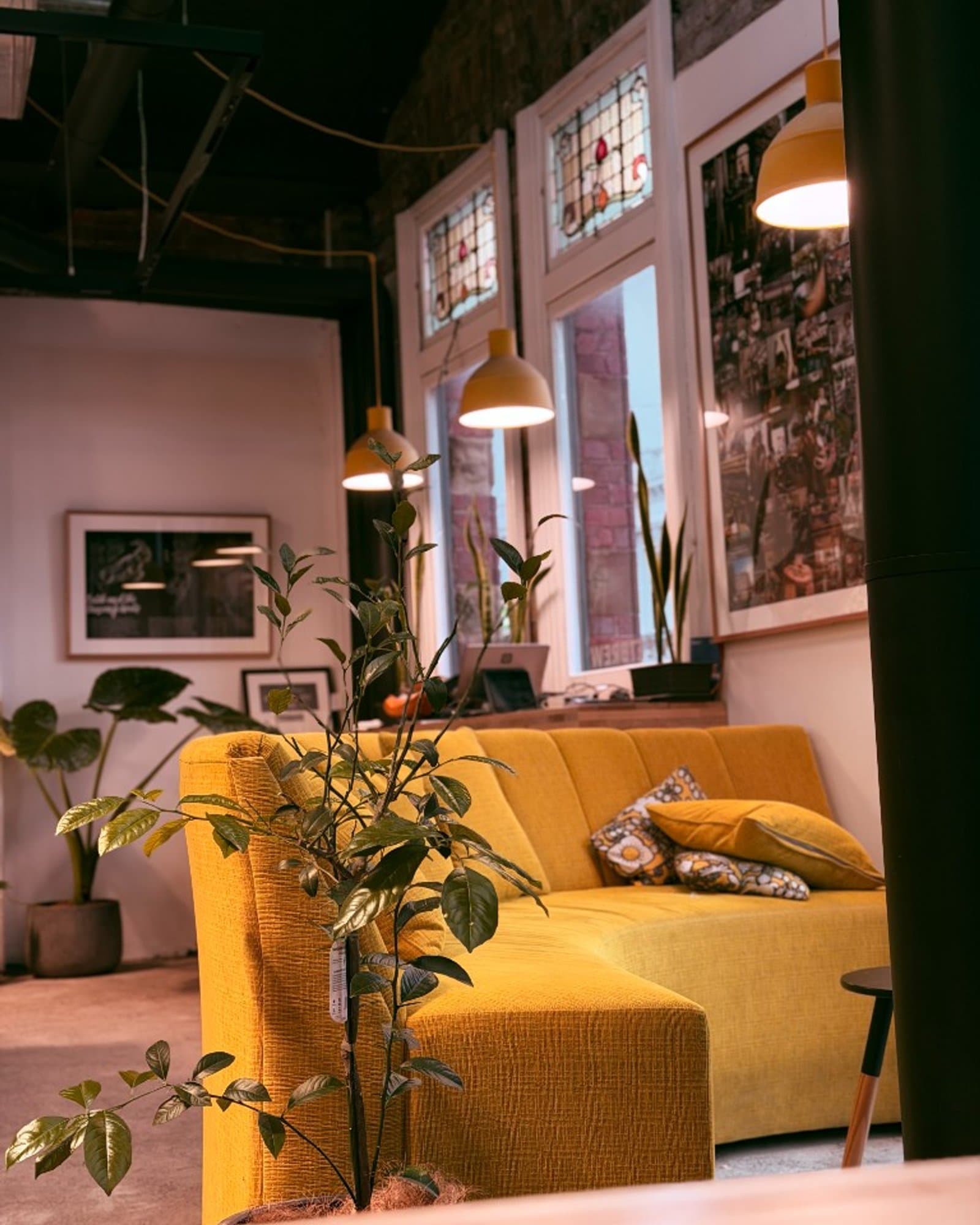 A cozy Nest Cafe corner with a mustard sofa, warm pendant lights and indoor plants